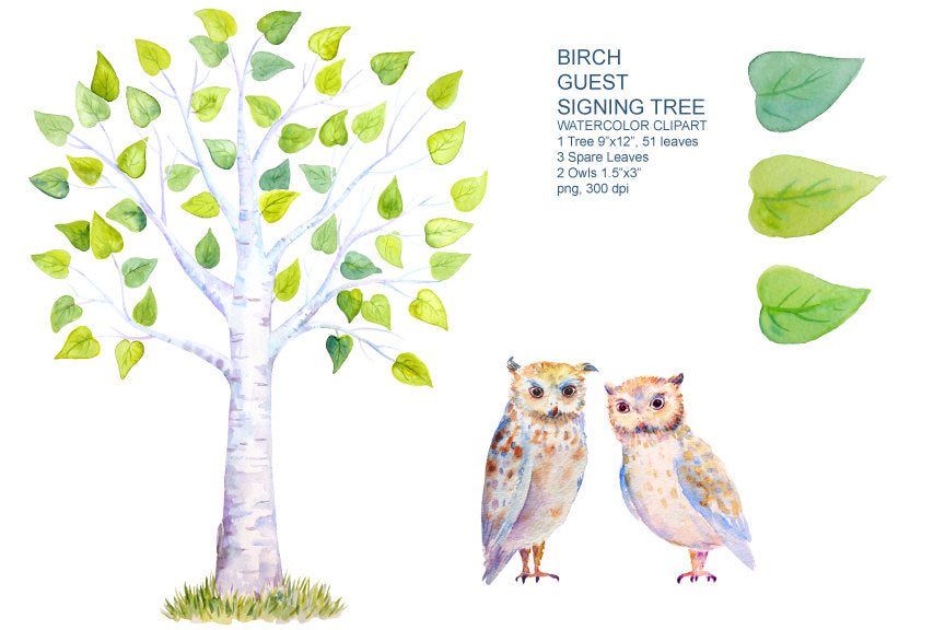 Wedding Clipart, watercolor birch guest signing tree, owl, bird