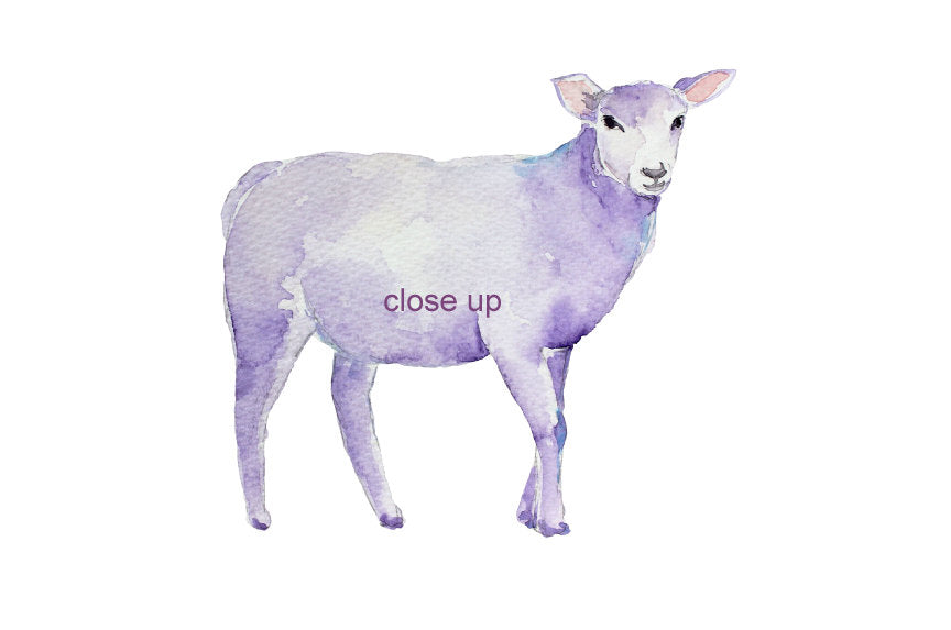 watercolor clipart of sheep and lamb, family print creator 