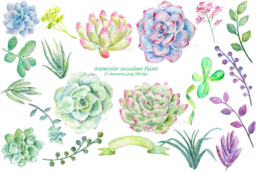 watercolor clipart succulent plants, detailed watercolor illustration 