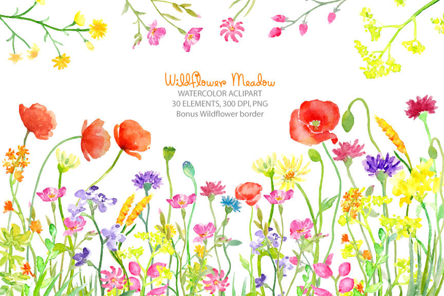 watercolor clipart, wild flower border, wildflower meadow, bright yellow and red flowers
