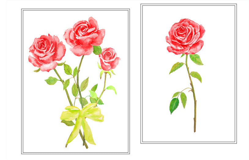 watercolor rose clipart, red rose illustration instant download 