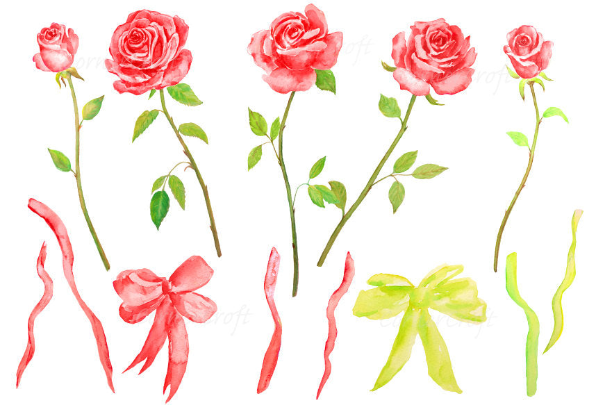 watercolor clipart red rose, cut flower, florist flower