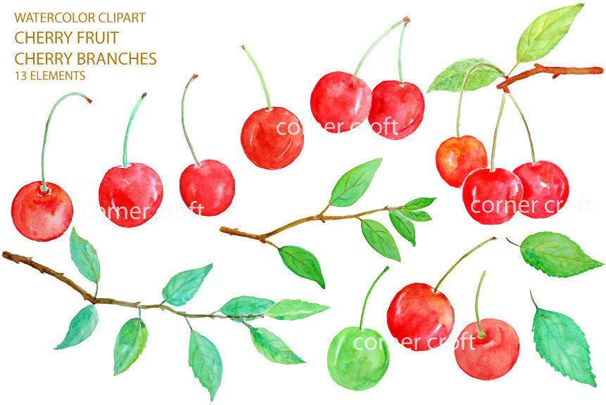 cherry elements, watercolor cherry clipart, red cherry, fruit, corner croft.