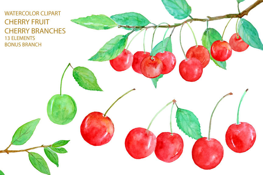 Watercolor cherry clipart, cherry illustration, red cherry, red cherries, cherry fruit, digital download 
