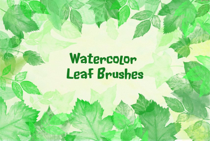 Leaf brush, watercolor leaf brush, Adobe Photoshop brush, leaf illustrations. watercolor leaves 