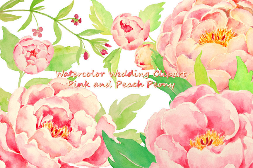 watercolor pink peony and peach peony clipart, instant download 