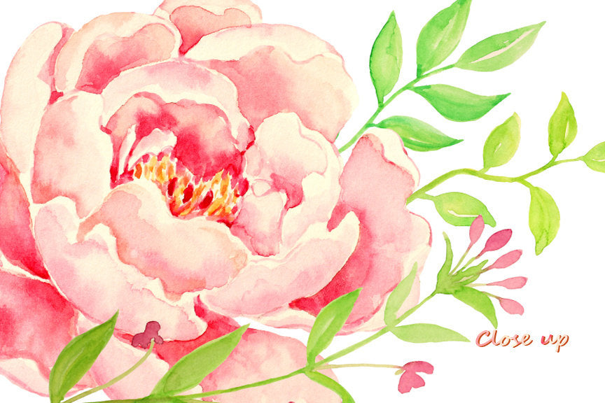 create your wedding invitation with beautiful watercolor peony clipart