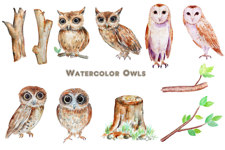 watercolor owl illustration, owl clipart, instant download 