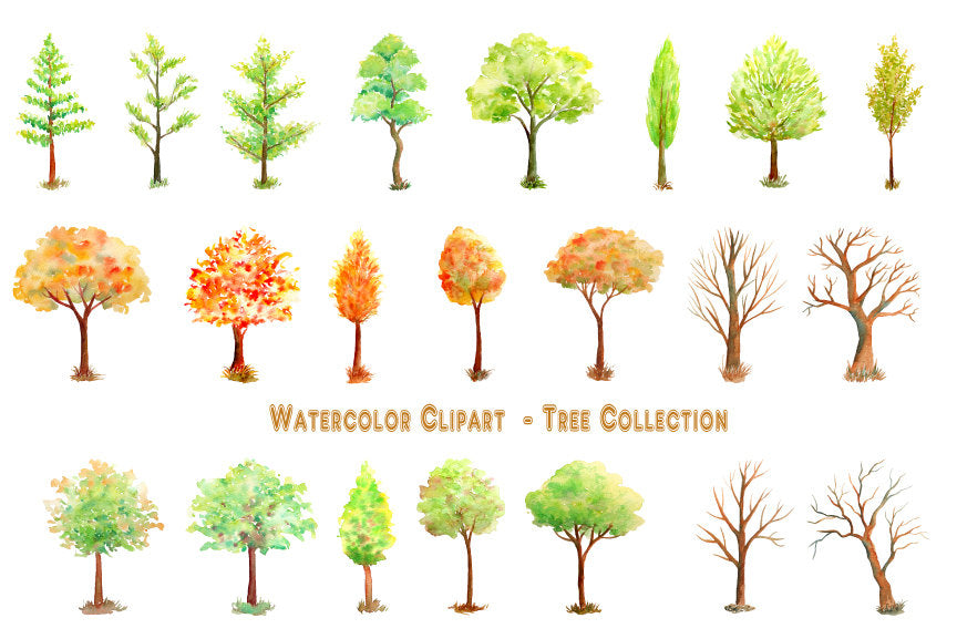Hand painted watercolor tree collection - variety of trees in green and gold color, and bare trees in winter