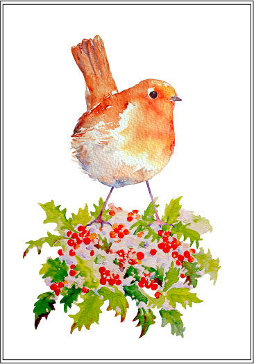 Watercolor clipart Christmas robin, red breast robin, berries