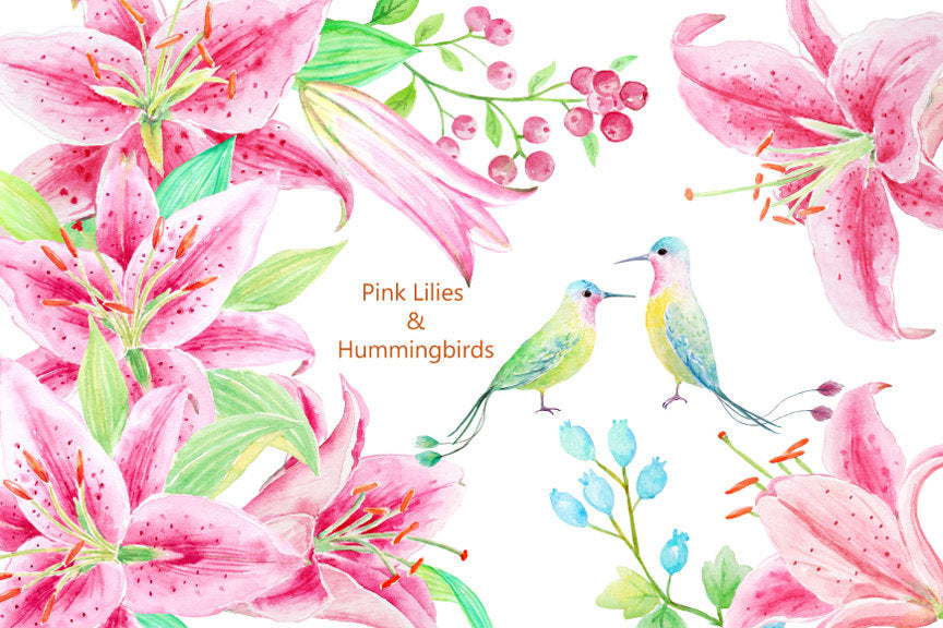 watercolor pink lily and humming birds for instant download 