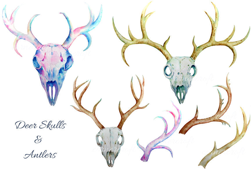 Deer Skull clip art - watercolor deer skulls and antlers printable instant download