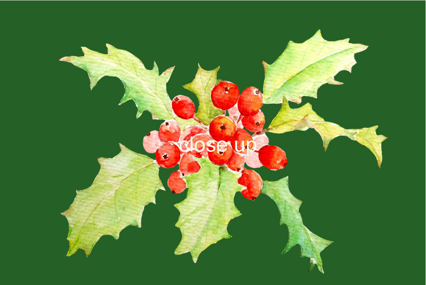 Watercolour Christmas Holly and Berry instant download