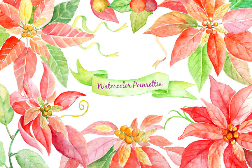 watercolor illustration poinsettia, detailed painting of poinsettia, instant download, red poinsettia 