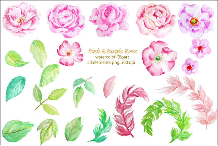 watercolour clipart, pink and purple roses, instant download 