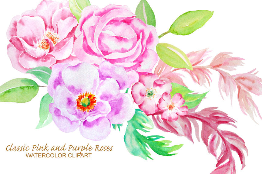 watercolor clipart, pink rose, purple rose, floral composition 