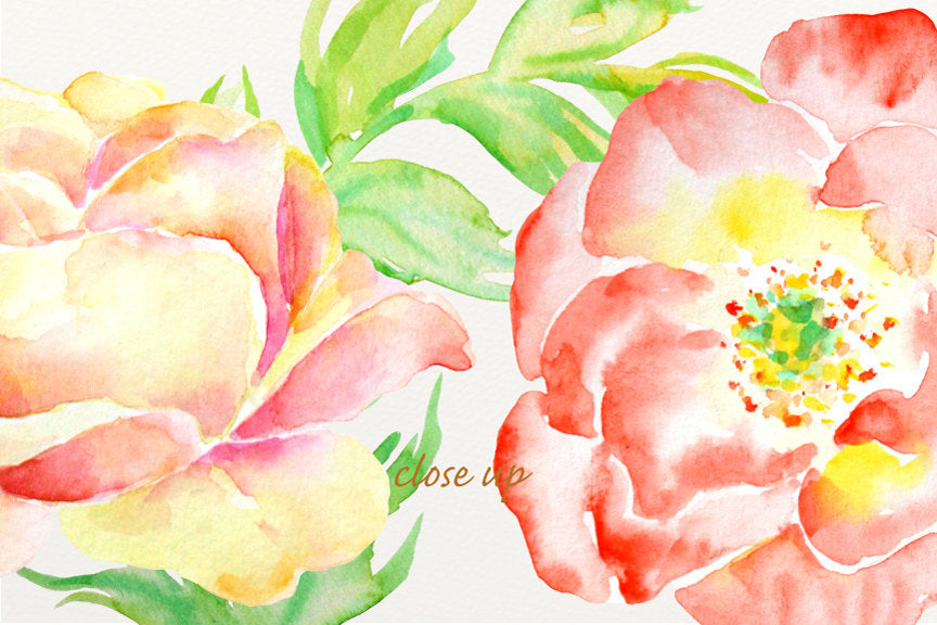 wedding clipart, rose clipart, watercolour clipart instant download 