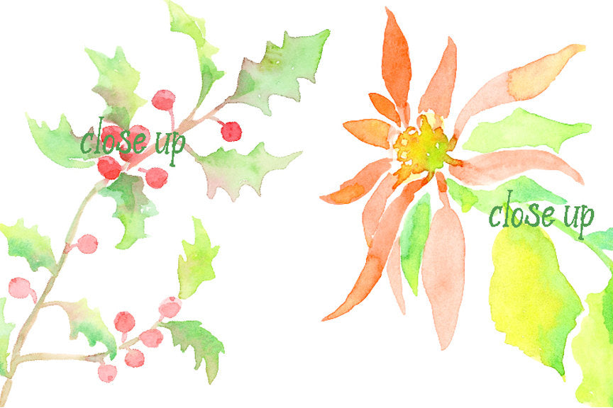digital download of watercolor holly branch, poinsettia plant and mistletoe 