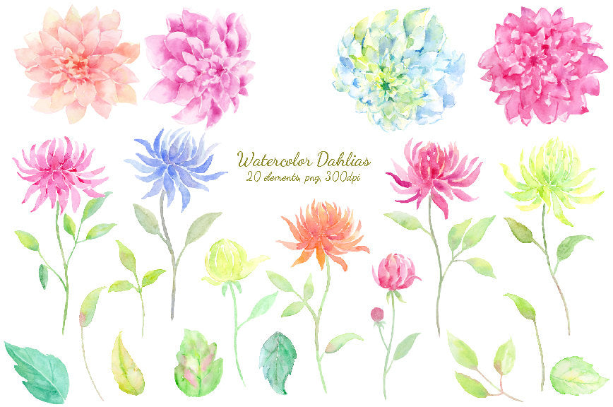 Watercolor dahlias in pink, blue, yellow and purple and leaves, summer flowers for instant download, they are perfect for making custom wedding invitations, wedding cards and greeting cards.