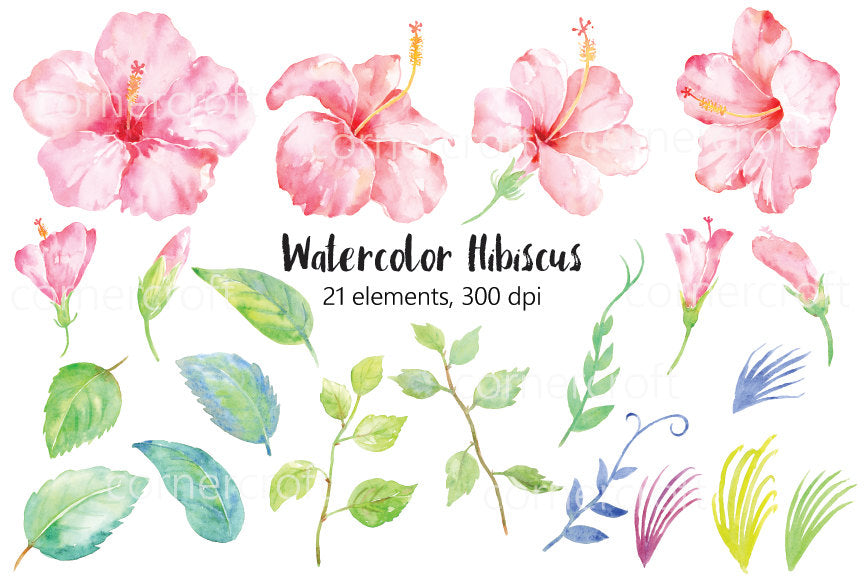 watercolour hibiscus clip art, pink flower, watercolor flowers, instant download 