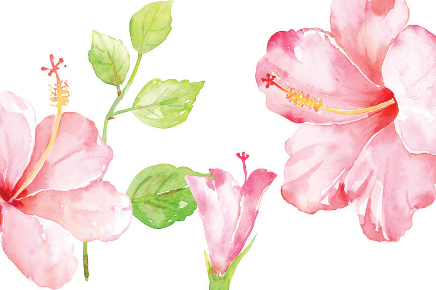 corner croft clipart, pink flower, pink hibiscus graphics, digital download 