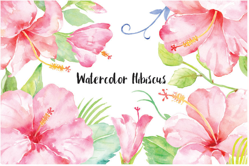 watercolor hibiscus clipart, pink flower, hibiscus illustration 