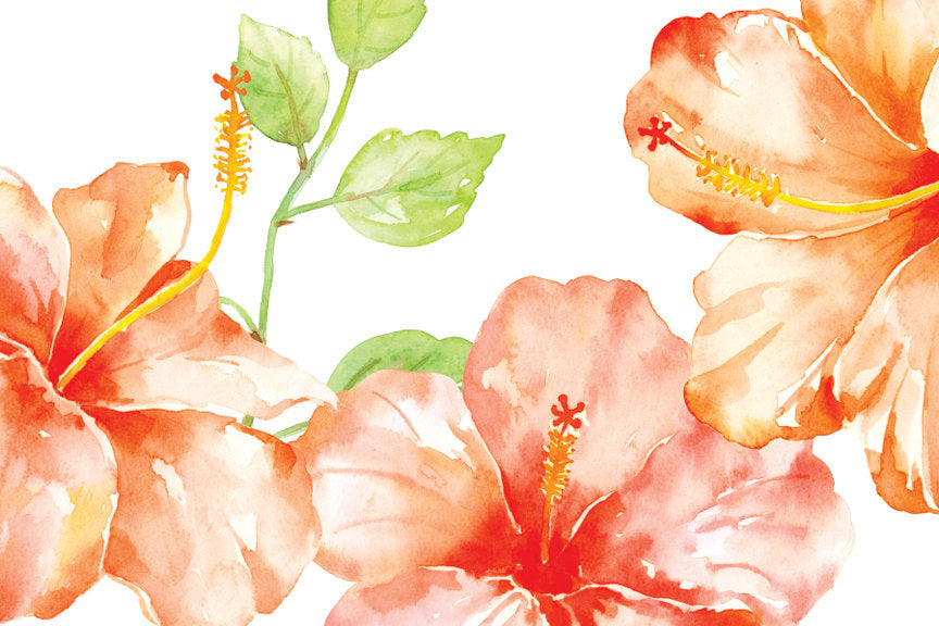watercolor hibiscus illustration, digital download, wedding invitation 