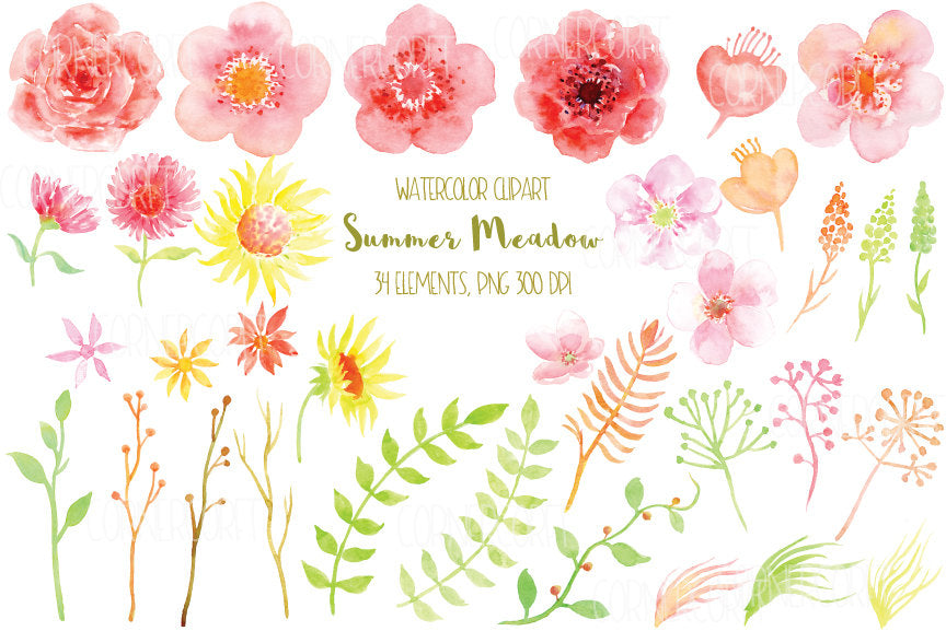 watercolor clipart summer meadow, pink, peach and red flowers, watercolor illustration