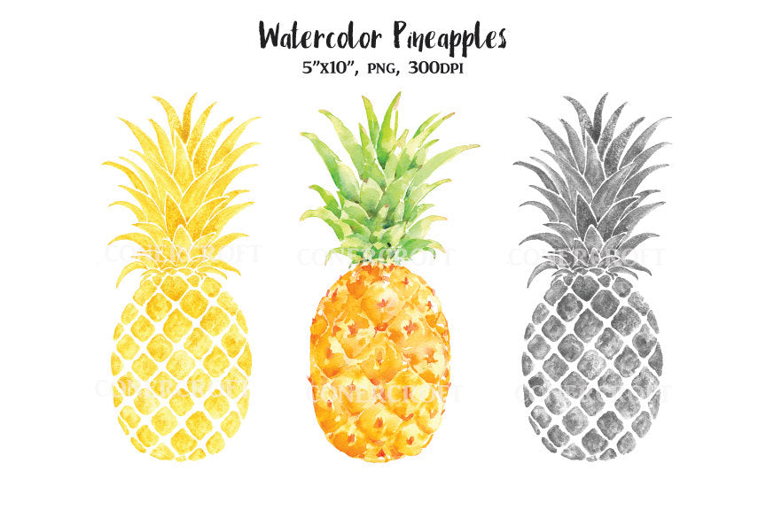 watercolor pineapple, gold pineapple, silver pineapple, 
