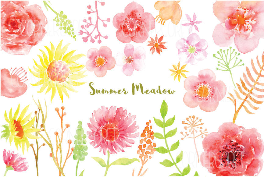 watercolor clipart summer meadow, pink, peach and red flowers, watercolor illustration