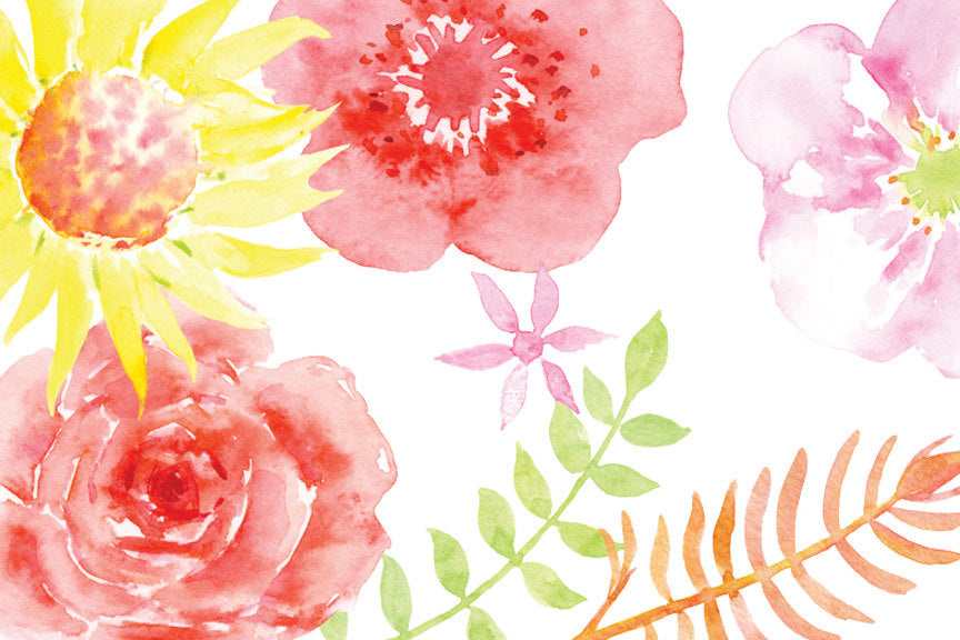 Watercolour clipart summer meadow, pink and peach flower collection. 
