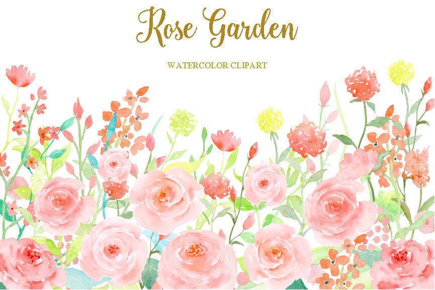 watercolor clipart rose garden, pink rose, pink roses, pink flowers, spring flowers.