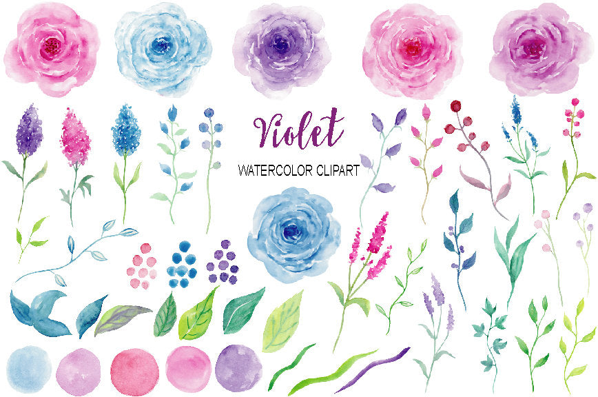 watercolor pink rose, blue rose and purple rose, floral elements, digital download.