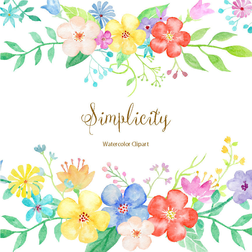 watercolor clipart, simplicity, daisy flowers, floral borders, flower arrangement, digital download 