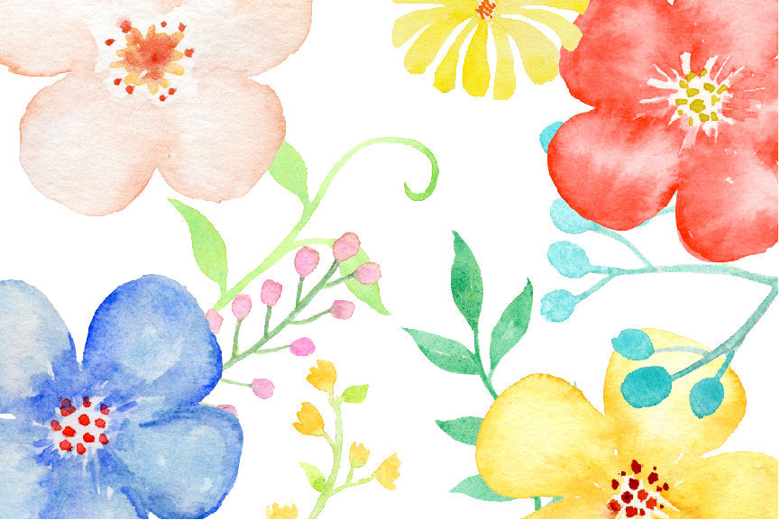 watercolor daisy flower, fresh flower, spring color, pastel flower, digital download 