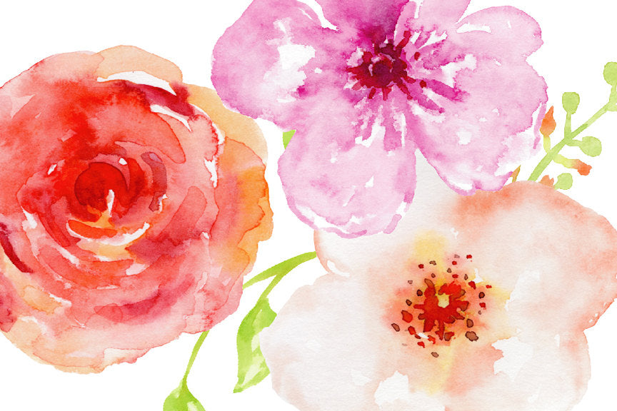 watercolor flowers, floral illustration, clip art, instant download 