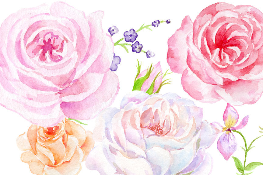 Watercolor vintage rose collection, classic rose digital download 