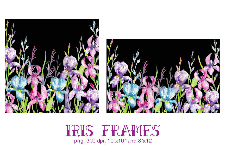 large floral frame, iris frame, watercolour clipart, watercolour illustration 