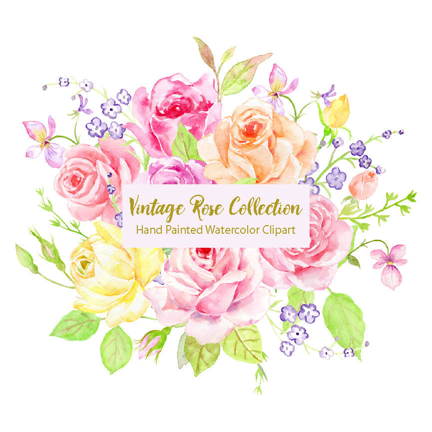 Watercolor vintage rose collection, watercolor clipart, classic roses, pink, peach roses