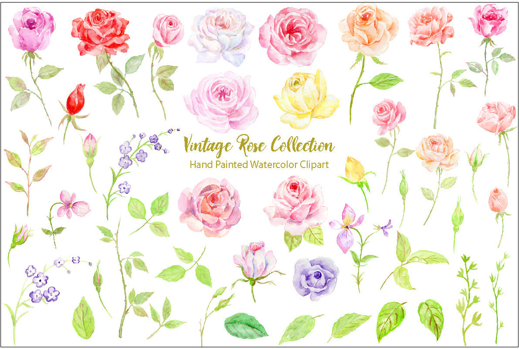 watercolor roses for instant download, famine flowers, floral arrangement, corner croft artwork.
