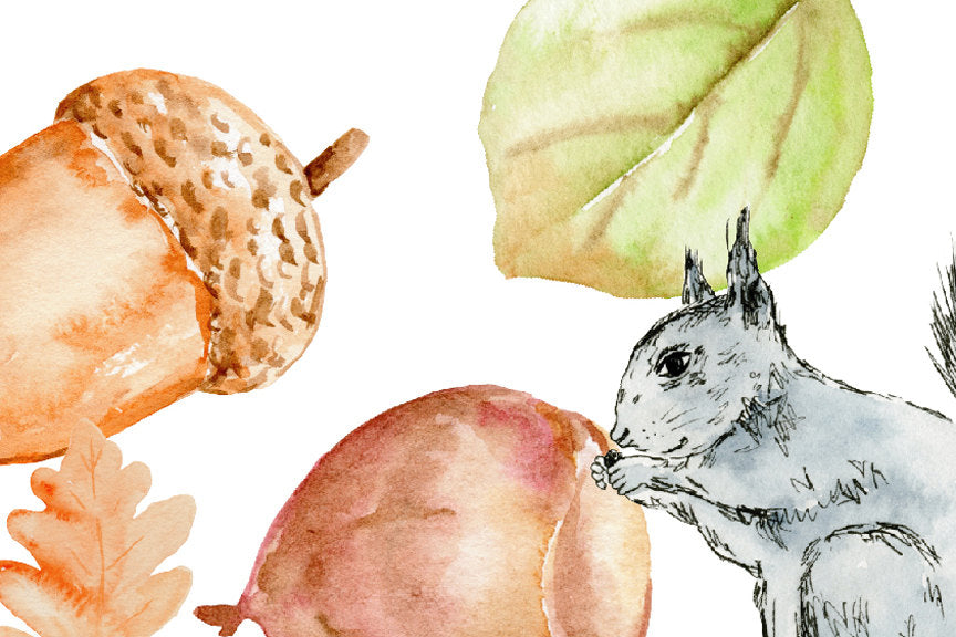Watercolor Clipart - Autumn Woodland, fox, squirrel, autumn leaves, berries, nuts and mushrooms for instant download