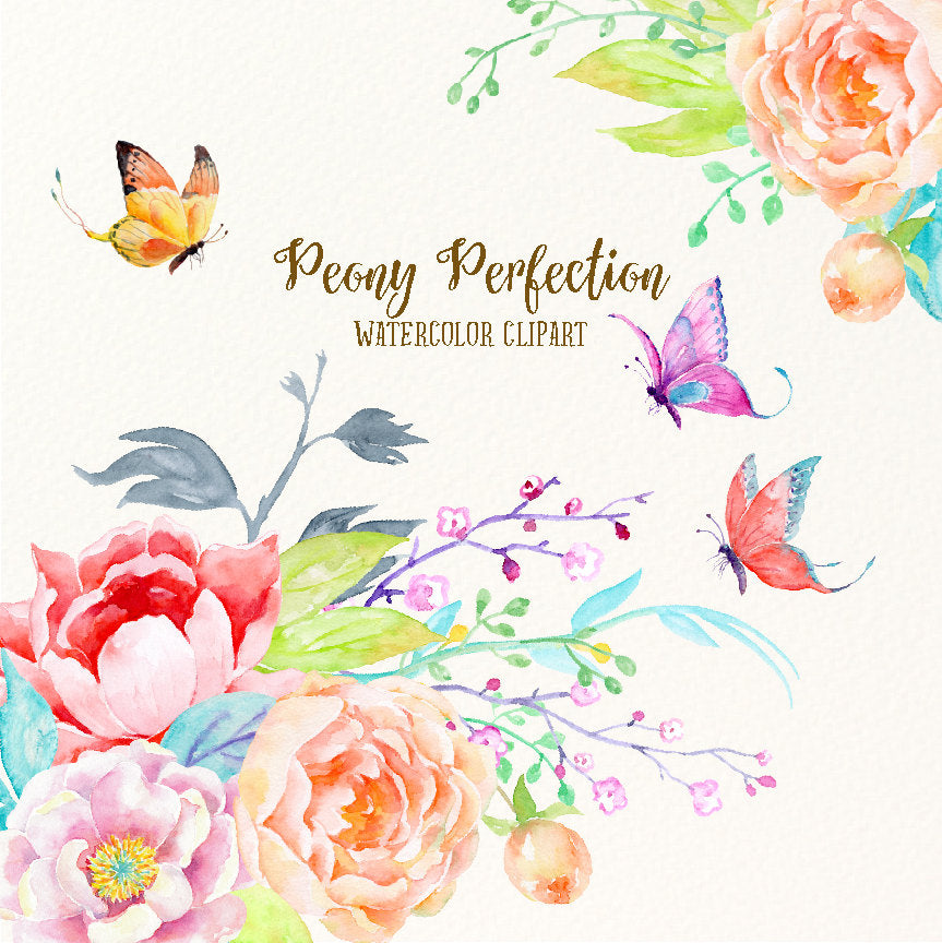 Watercolor peony perfection, pink peony, peach peony, butterfly, Chinese illustration 