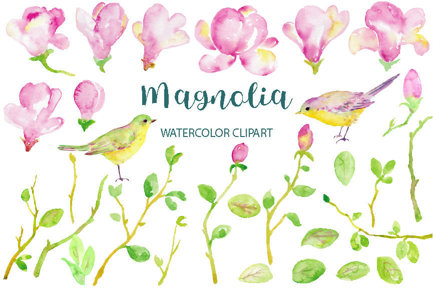 watercolour magnolia, pink flower, leaf, branch, birds, magnolia clipart