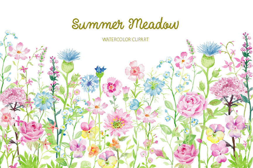waercolor clipart summer meadow, pink and blue flowers.
