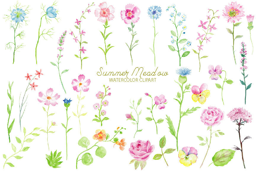 Beautiful pink and blue themed summer meadow for instant download. The typical meadow flowers includes rose, pansy, thistle, cosmos, nasturtium, pink carnation and corn flower. 