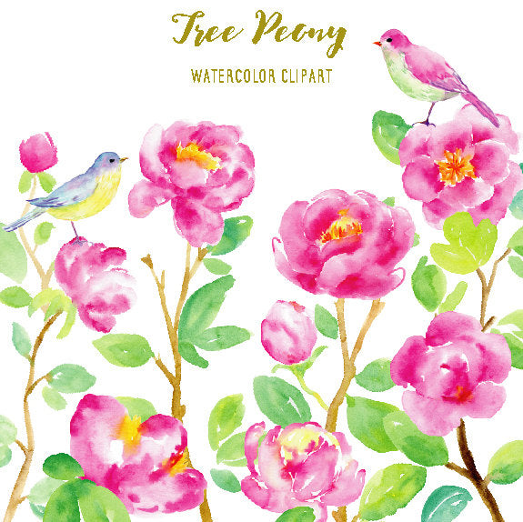 watercolor clipart purple tree peony and birds,