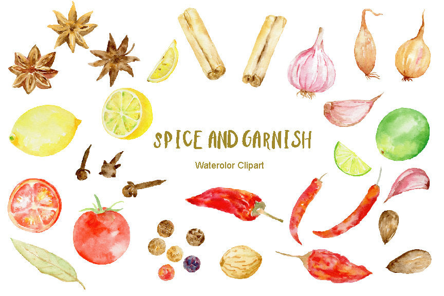 Watercolor clipart spice and garnish, instant download
