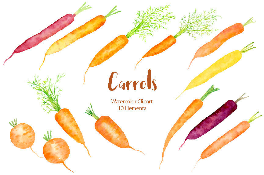 watercolor carrot digital illustration, instant download, corner croft graphics.