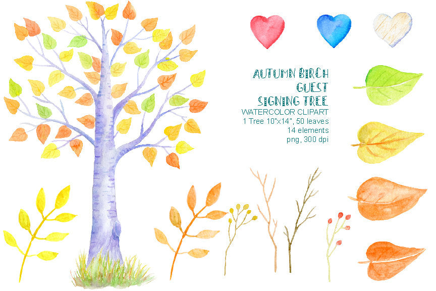 watercolor autumn birch guest signing tree, wedding clipart, instant download 