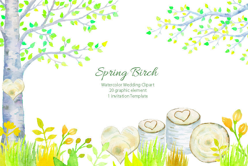watercolor spring birch clipart, wedding clipart, birch tree, birch branch